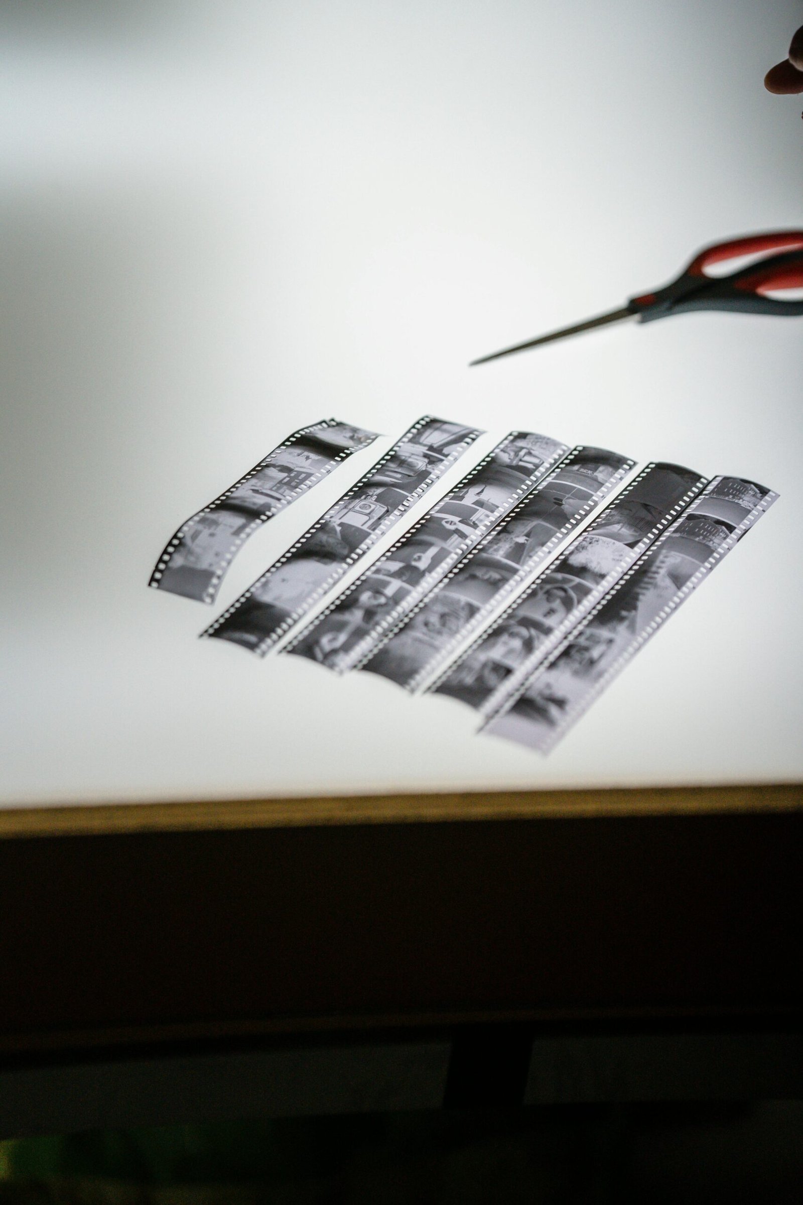 pexels annushka ahuja 8113843