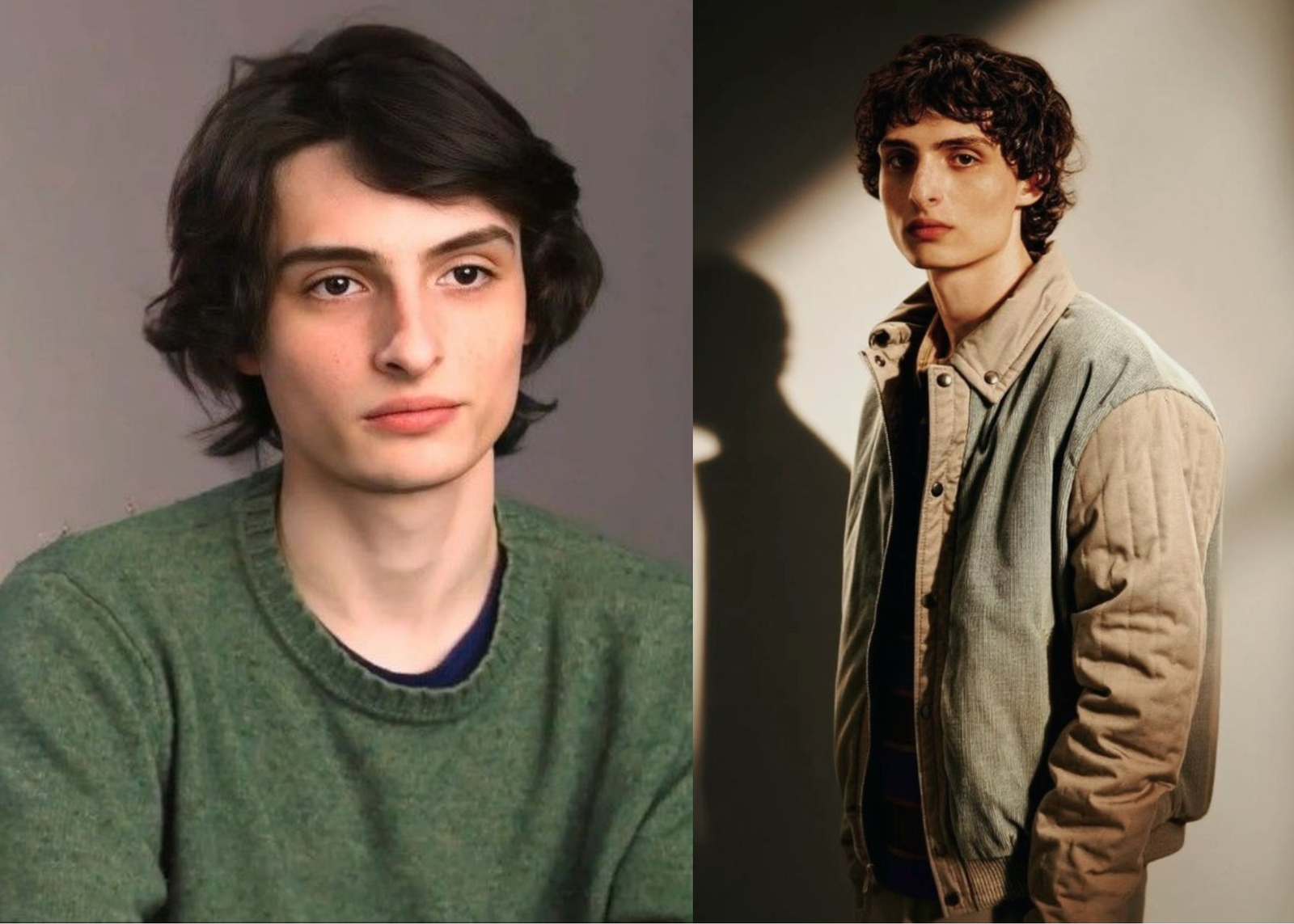 Finn Wolfhard como Mike Wheeler